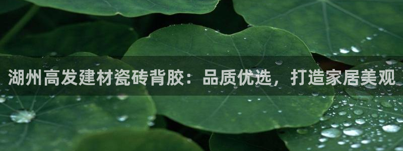 杏鑫平台招商