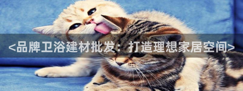 杏鑫平台线路测速