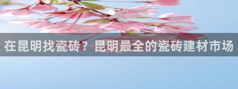 杏鑫娱乐怎么下
