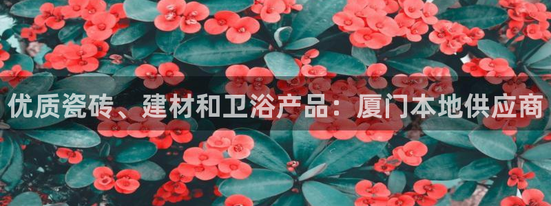 杏鑫官方app代理