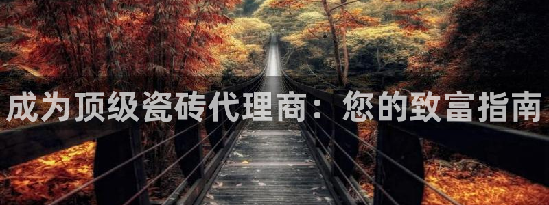 杏鑫3主管
