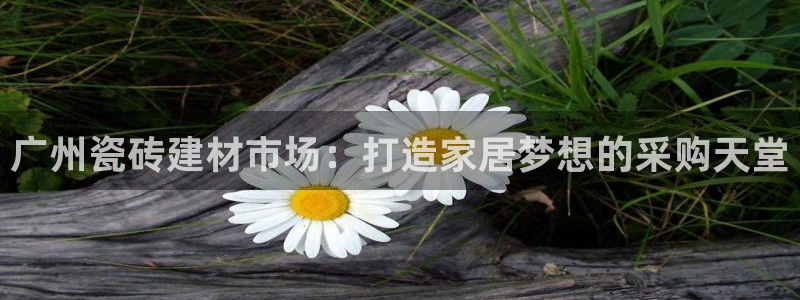 杏鑫平台代理怎么样