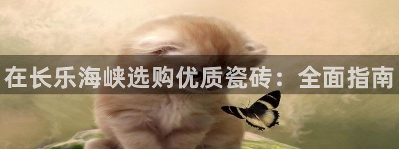 杏鑫平台代理怎么做的