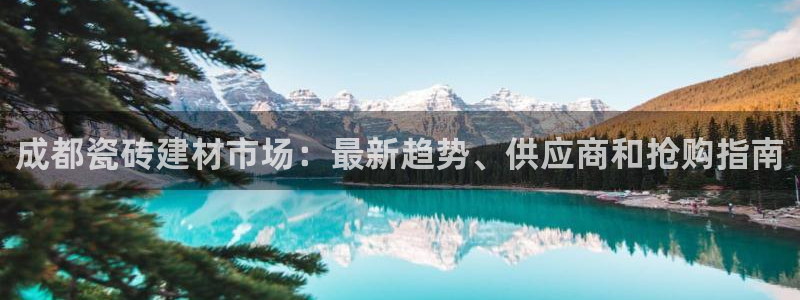 杏鑫平台怎么样