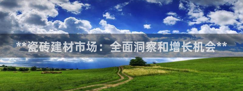 杏鑫官方平台怎么样啊