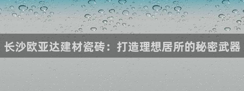 杏鑫娱乐开发团队