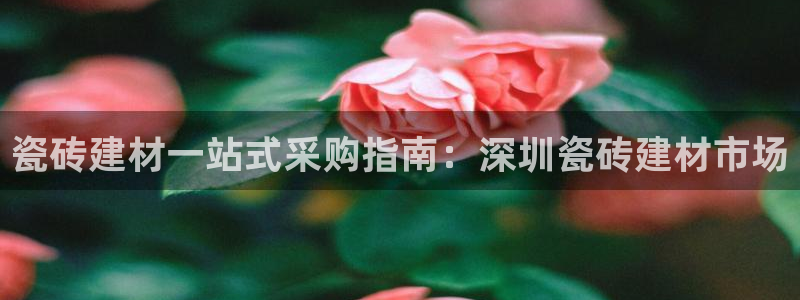 杏鑫娱乐负责人