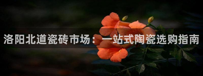 杏鑫娱乐是真的吗知乎