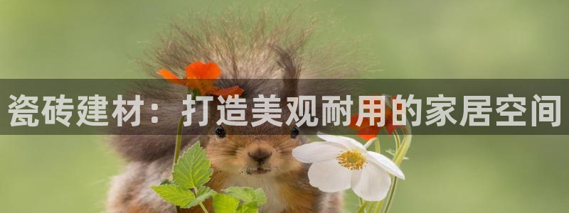 杏鑫3主管