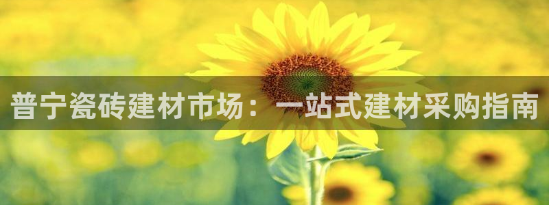 杏鑫注册登陆