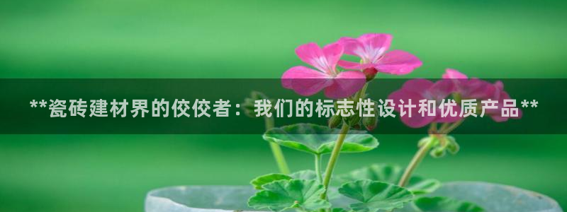 杏鑫平台怎么样知乎