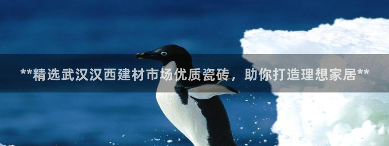 杏鑫平台代理注册登录不了怎么办呀苹果