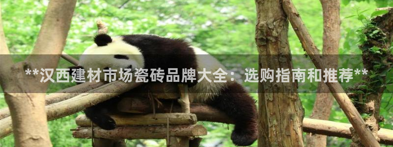杏鑫平台怎么样黑钱吗知乎