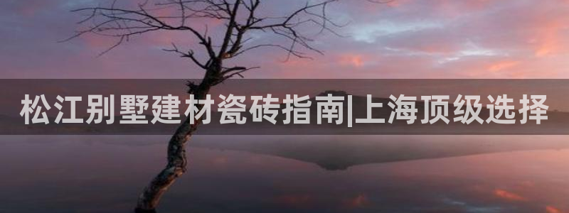 杏鑫平台代理注册多少钱一年