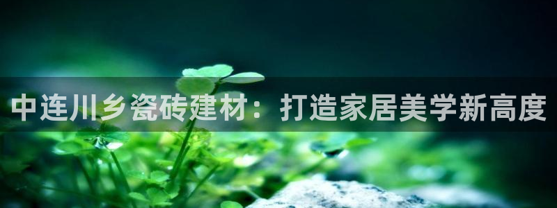 杏鑫招商总代