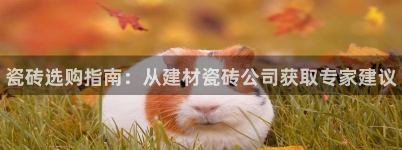 杏鑫平台代理怎么样赚钱