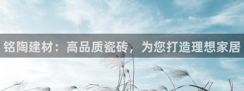 杏鑫平台注册入口在哪