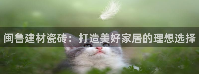 杏鑫娱乐平台