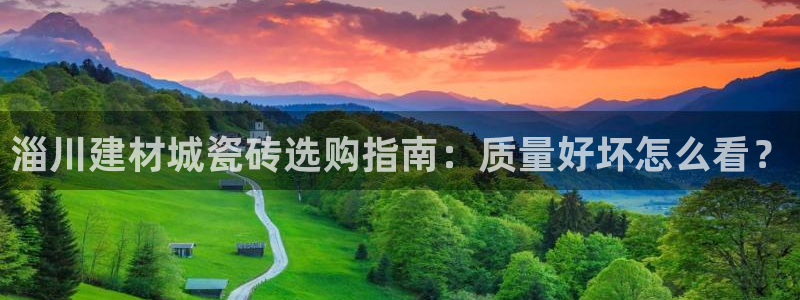 杏鑫官网最新信息新闻