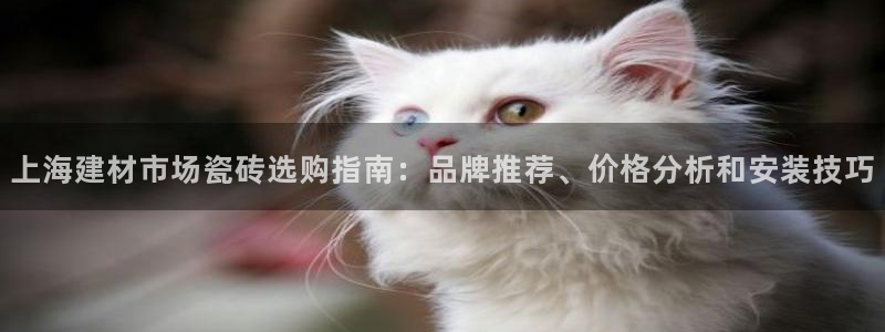 杏鑫平台靠谱吗