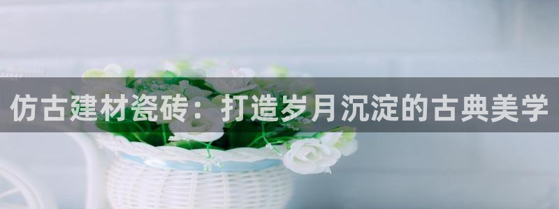 杏鑫平台登录地址是什么