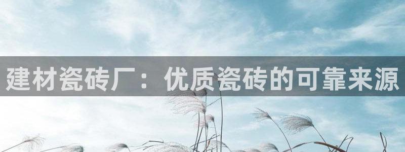 杏鑫平台登录注册