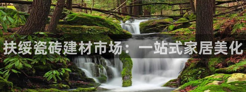 杏鑫官方平台怎么样