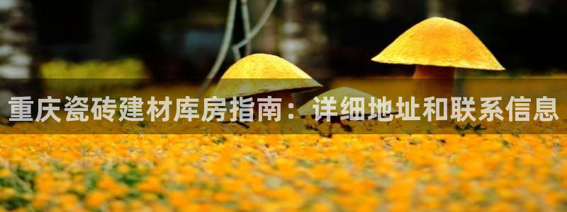 杏鑫官网注册账号是什么样的