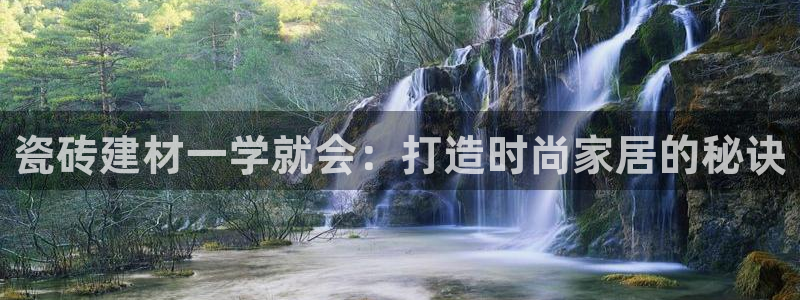 杏鑫平台在线注册流程