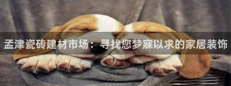 杏鑫娱乐官方网站客户端下载