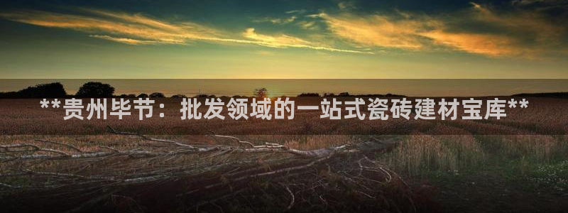 杏鑫平台怎么样黑钱吗是真的吗知乎