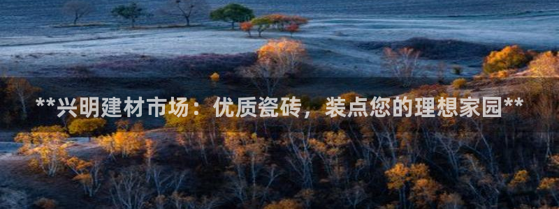 杏鑫官方平台怎么样啊