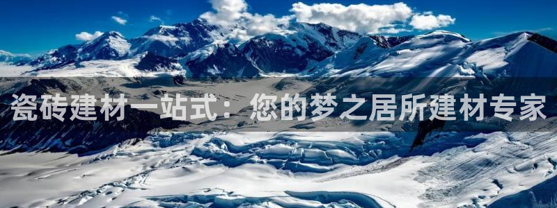 杏鑫有亏损返点吗