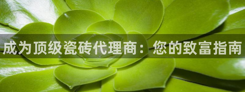 杏鑫平台念7O777