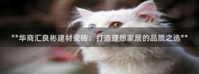 杏鑫娱乐平台测速怎么样