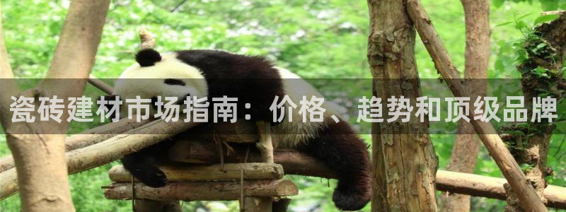 杏鑫官方平台怎么样啊