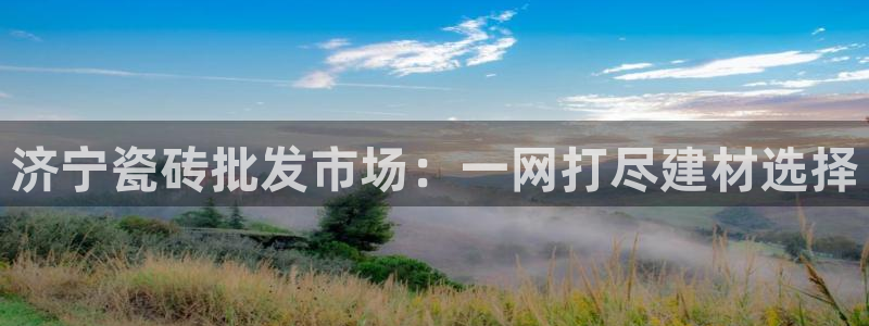 杏鑫官网最新信息