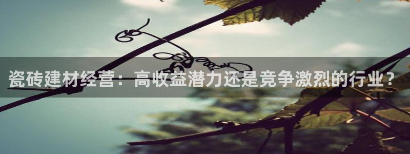 杏鑫平台代理怎么样啊