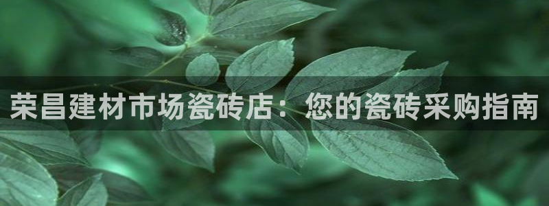 杏鑫官方平台怎么样啊