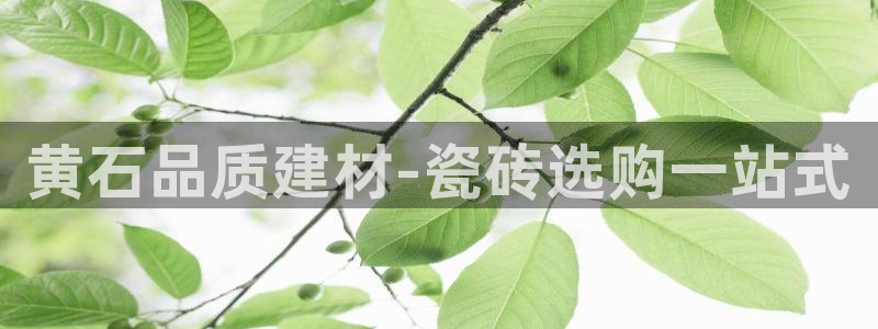 杏鑫平台怎么样黑钱吗安全吗