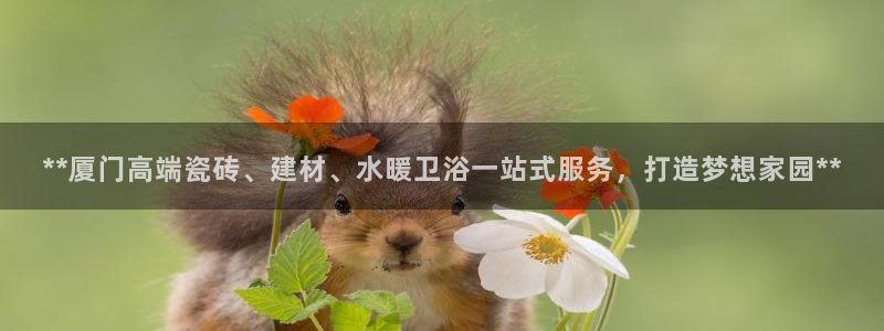 杏鑫手机客户端怎么下载