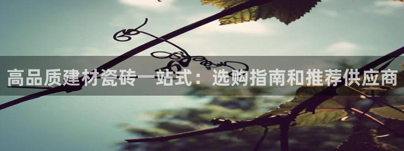杏鑫有亏损返点吗