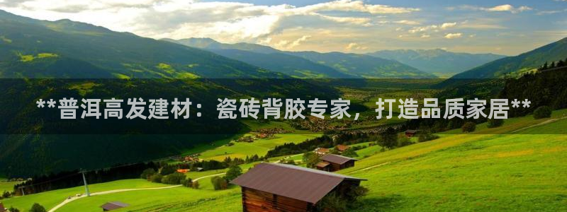杏鑫平台正规吗可信吗