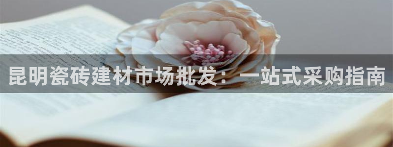 杏鑫平台代理怎么样赚钱