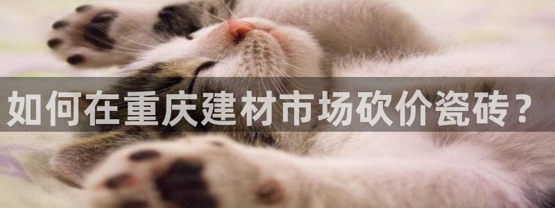 杏鑫平台提供