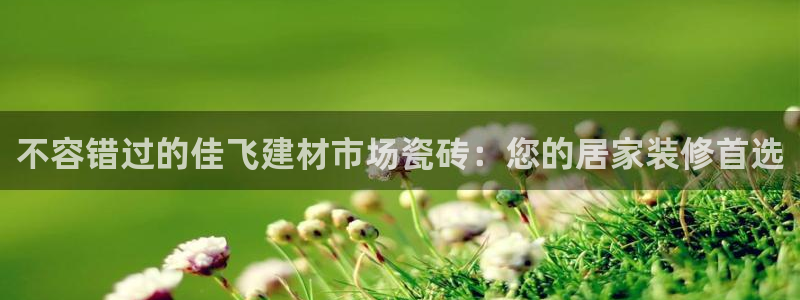 杏鑫有亏损返点吗
