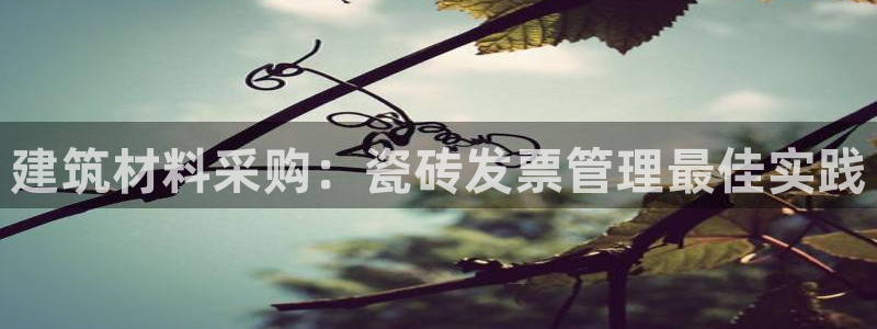 杏鑫主管
