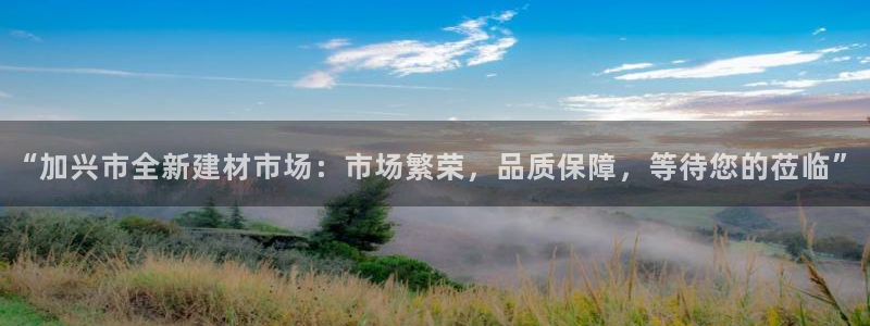 杏鑫平台官方网站