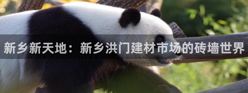 杏鑫平台野马联盟怎么样