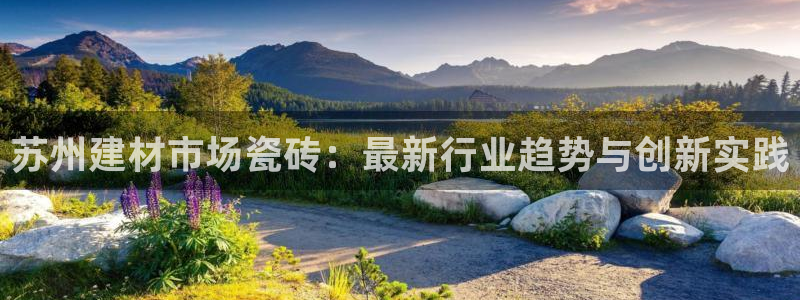 杏鑫平台招商电话